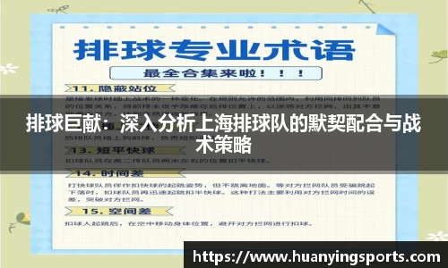 排球巨献：深入分析上海排球队的默契配合与战术策略